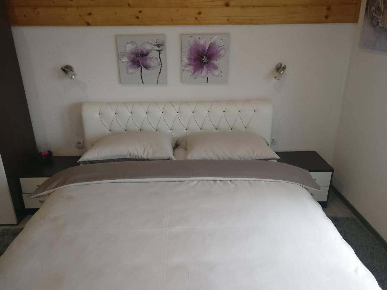 Guest House Jagoda ราโควิซา ภายนอก รูปภาพ